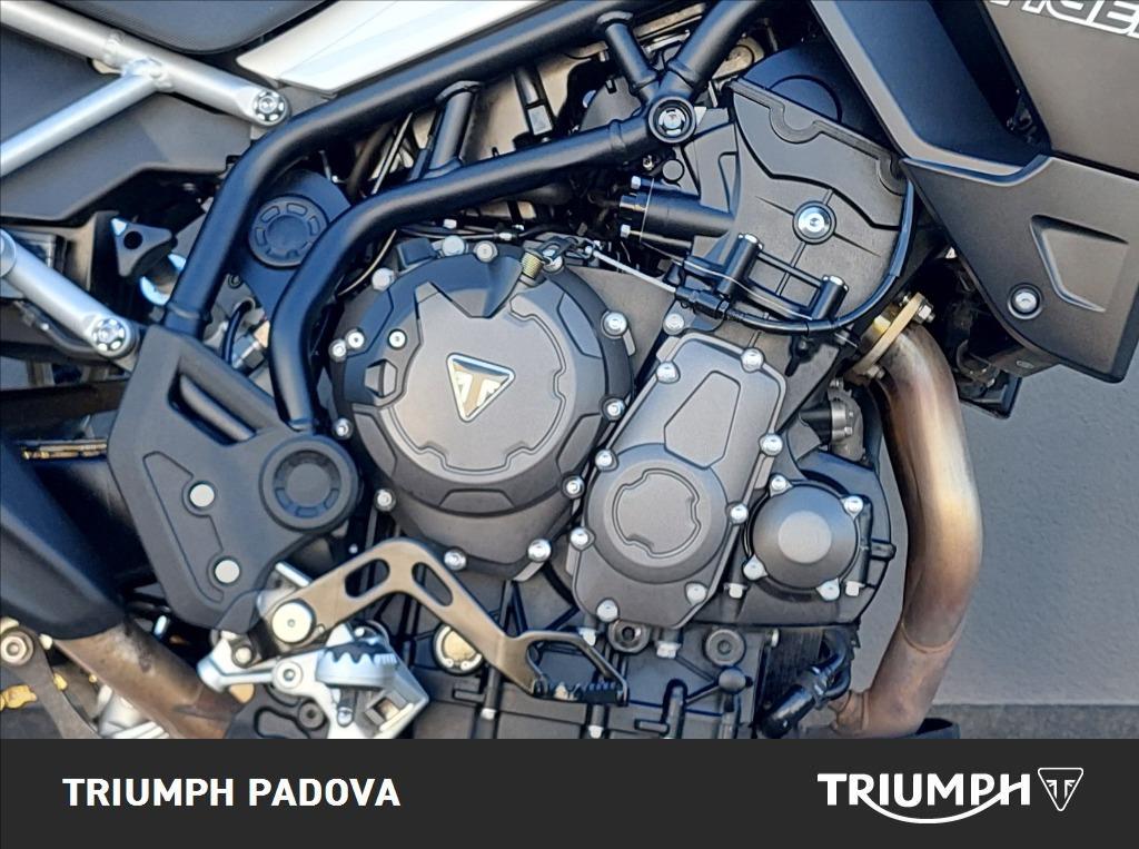 TRIUMPH Tiger 900 GT Abs