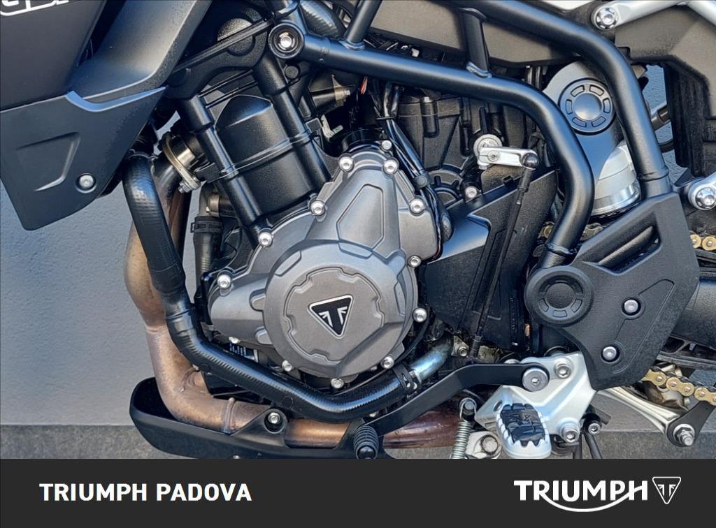 TRIUMPH Tiger 900 GT Abs